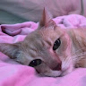 Meet your Posher, Jackie